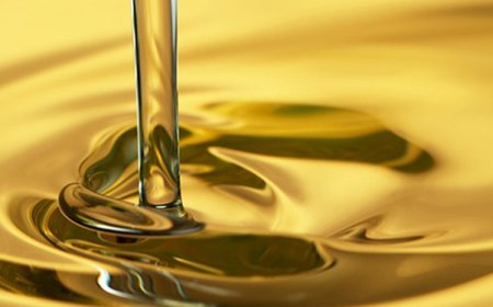 Eco-Friendly Plant-Based Hydraulic Fluids