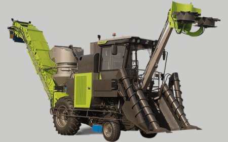 Ac60 Sugarcane Harvester