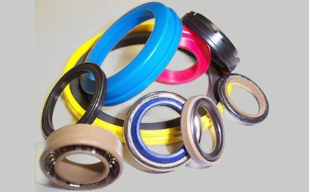 Strategic Business Planning and Growth Analysis for the Pharmaceutical Processing Seals Market in 2023