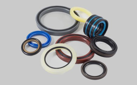 The Dynamic Seals Market is poised to exhibit the highest growth rates