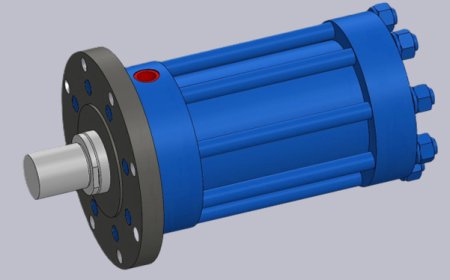 CSTM-200-110-100-MF3 Model Hydraulic Cylinder