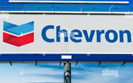 Biodiesel Loader Operator