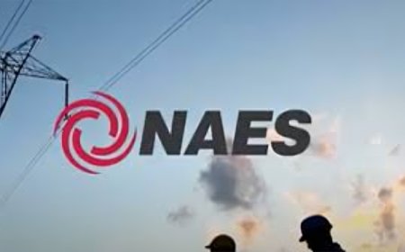 Heavy Equipment Operator