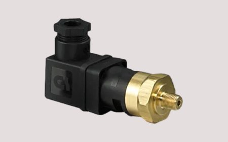 Visual/Electrical and Full Electrical Indicators and Pressure Gauges