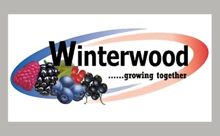 Electric pallet truck operator