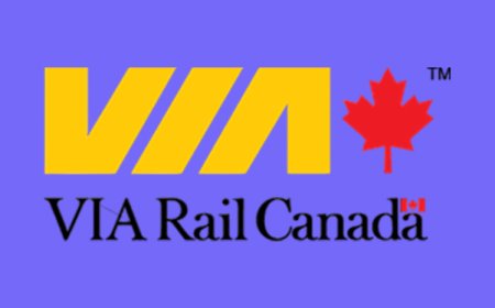 Diesel engine mechanic