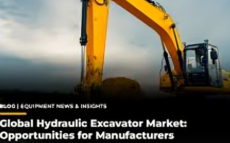 Worldwide Hydraulic Excavator Industry to 2025 - Increasing Requirement for Large-scale Project Management is Driving Growth