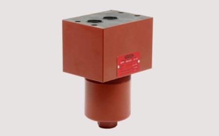 Pressure Filter for Manifold Back Mounting - DFP / DFPF
