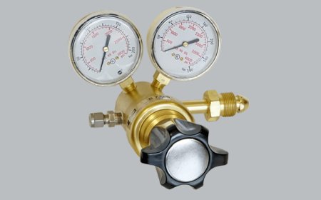 Ultra High Delivery Pressure Regulator, Model 8700