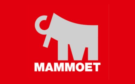 Rigger International