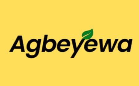 Tractor and Bulldozer Mechanic