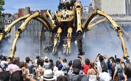 A 43 inch Mechanical Spider Touches Down in France