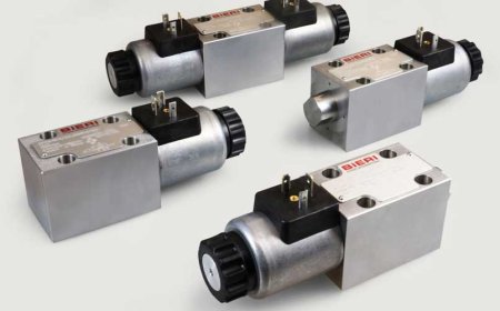 Bieri WV1000 series high pressure valve