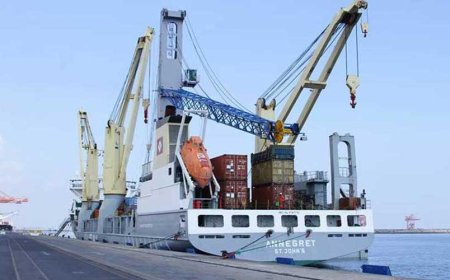 Cargo Cranes - Multipurpose Cranes