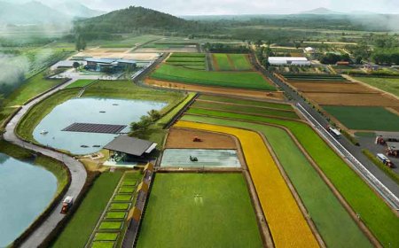 DEMONSTRATION FARM OF KUBOTA IN THAILAND