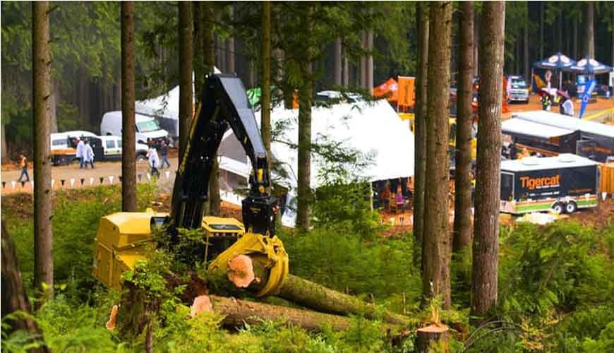 Demo International 2016