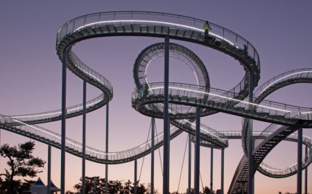 Hydraulics in Roller Coasters: The Power Behind the Thrill