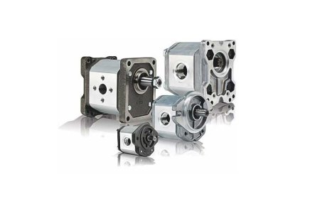 Hydraulic gear motor