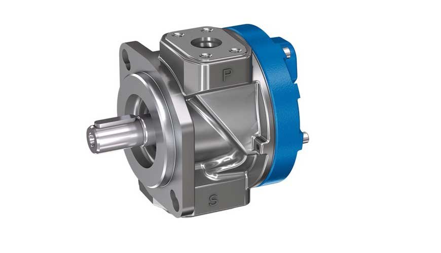 ROTOR PUMPS WITH CONSTANT DISPLACEMENT