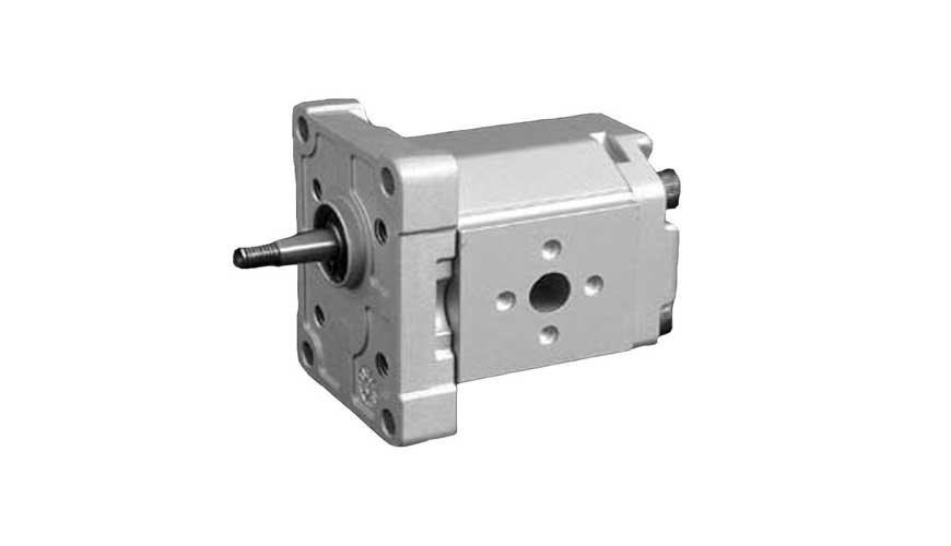 Group 1 Gear Pumps