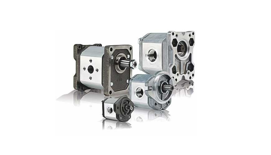 Hydraulic gear motor