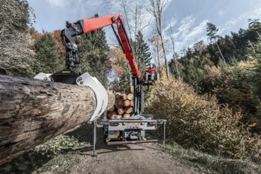 PALFINGER Epsilon Cranes