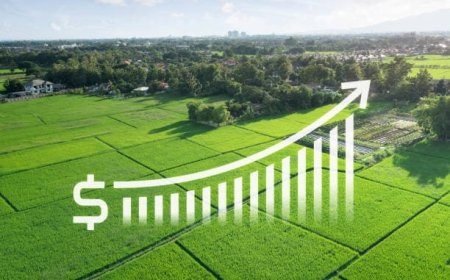 How Infrastructure, Agriculture, and Emerging Regions Drive the Hydraulic Industry Boom