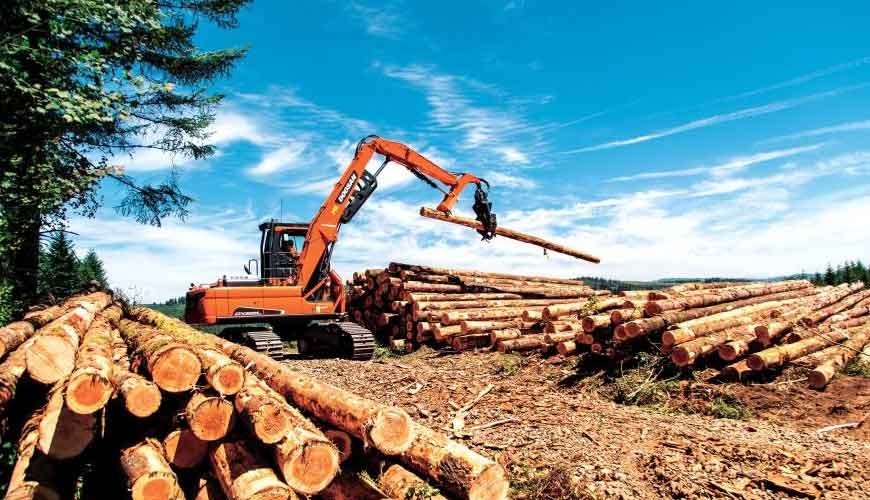 New Doosan DX225LL-5 Log Loader Built Strong for Forestry and Logging Industry Challenges