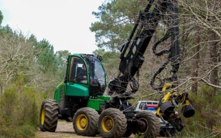 Masters of the Woods: The Essential Equipment of the Forestry Industry