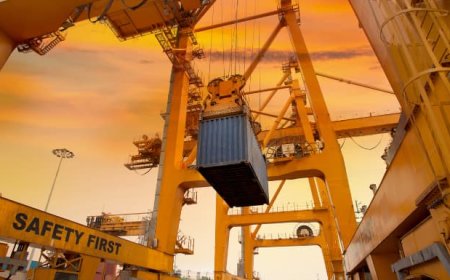 The Container Challenge: How Hydraulic Cranes Master Tough Lifts