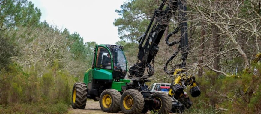 Masters of the Woods: The Essential Equipment of the Forestry Industry