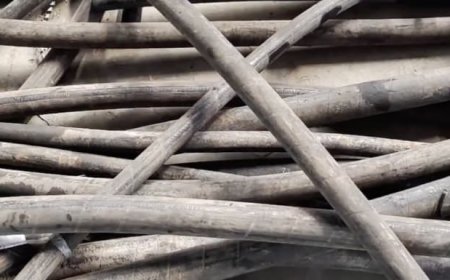 Hydraulic Hose Recycling Machine – Efficient Rubber and Steel Separation!