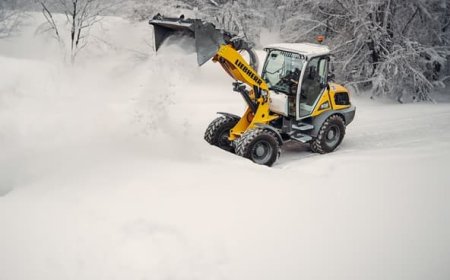Focus on winter service: 5 powerful Liebherr wheel loaders built for snow and ice