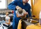 Is it safe to mix different brands of hydraulic oil?