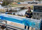 What is meant by the term reynolds number, and why is it important in fluid mechanics or hydraulics?