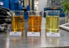What are the differences between HLP, HVLP, and HETG hydraulic fluids?